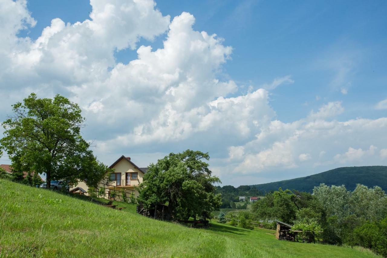 Villa Nad Zalewem à Jaszczurowa Extérieur photo
